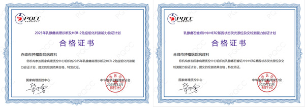 DM_20251210131133_001.jpg DM_20251210131133_001.jpg